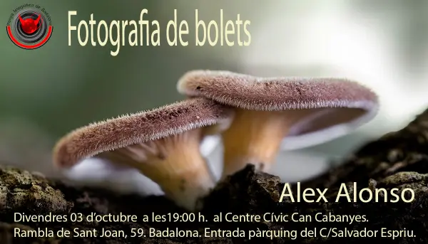 Alex Alonso