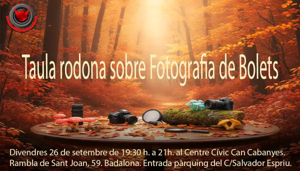 Mesa redonda fotografía de setas
