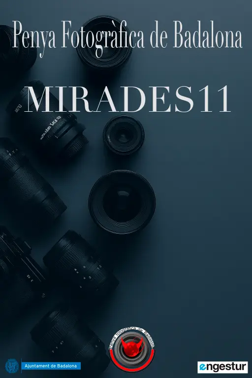 Mirades 11
