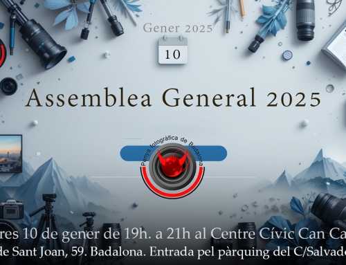 Assemblea General